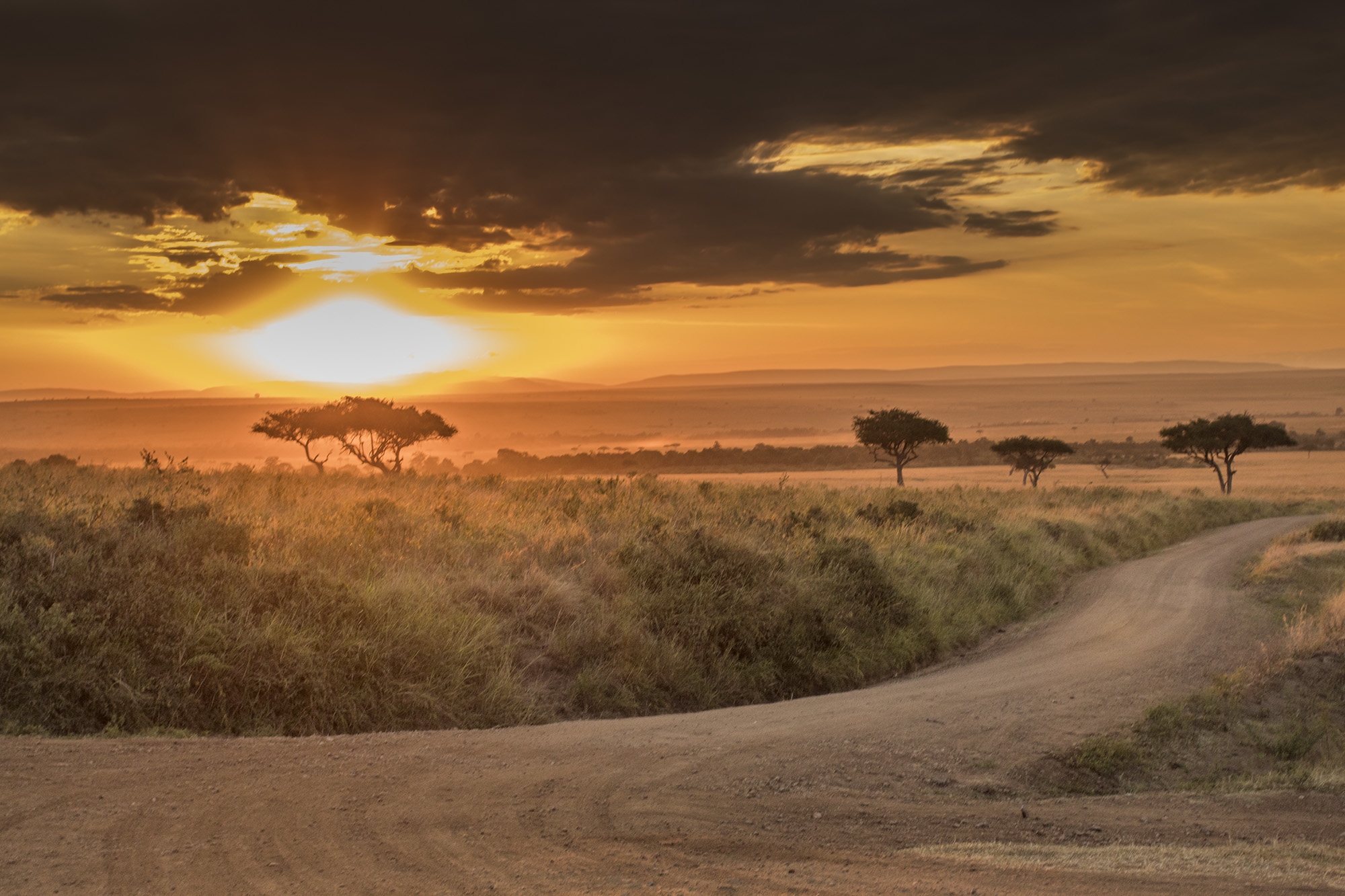 A sunrise over Masai Mara in Kenya