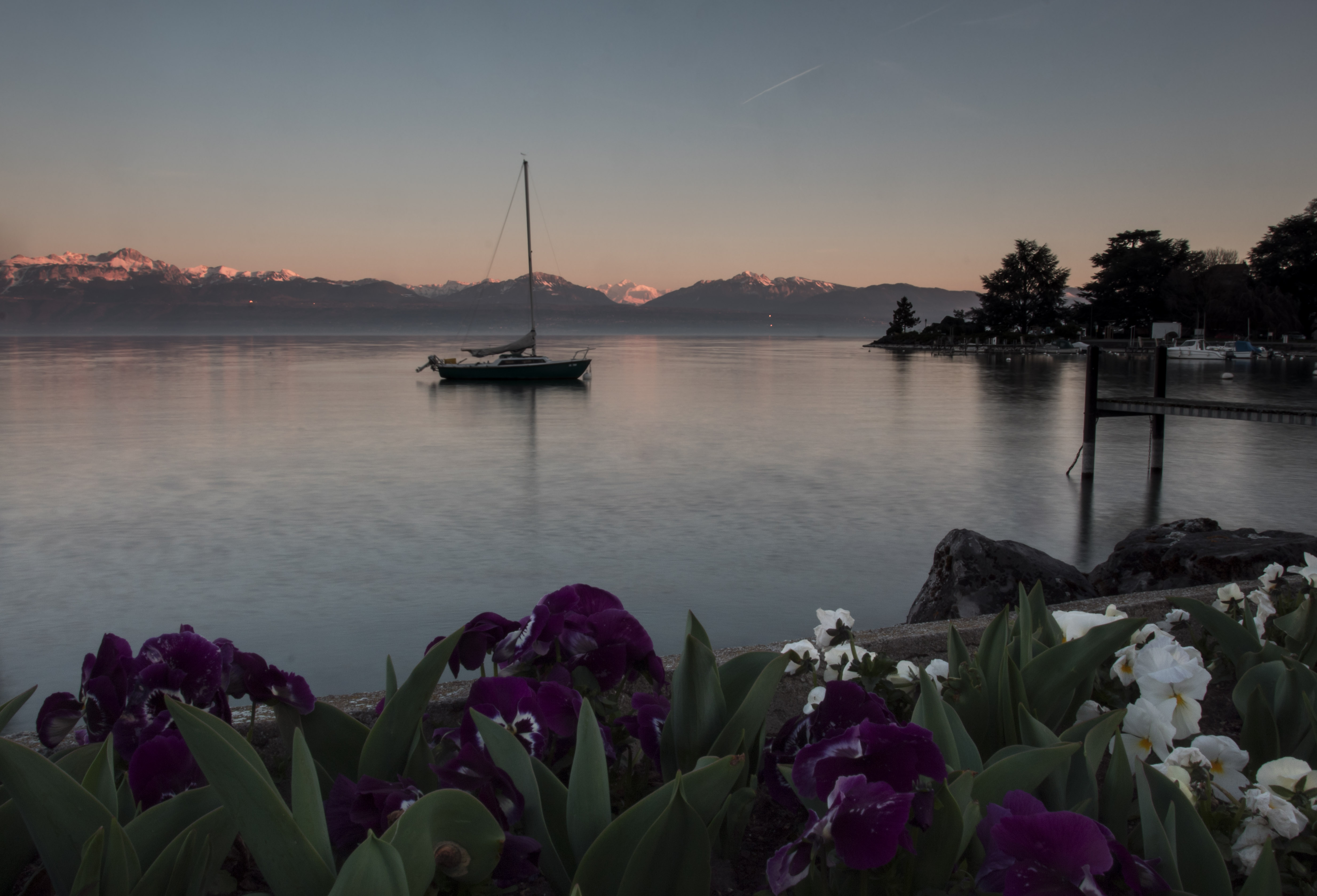 Flowers and a boat in Morges Switzerland